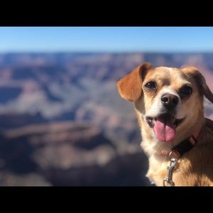 Meet your Posher, Drew